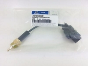 Hyundai-KIA 3923026600